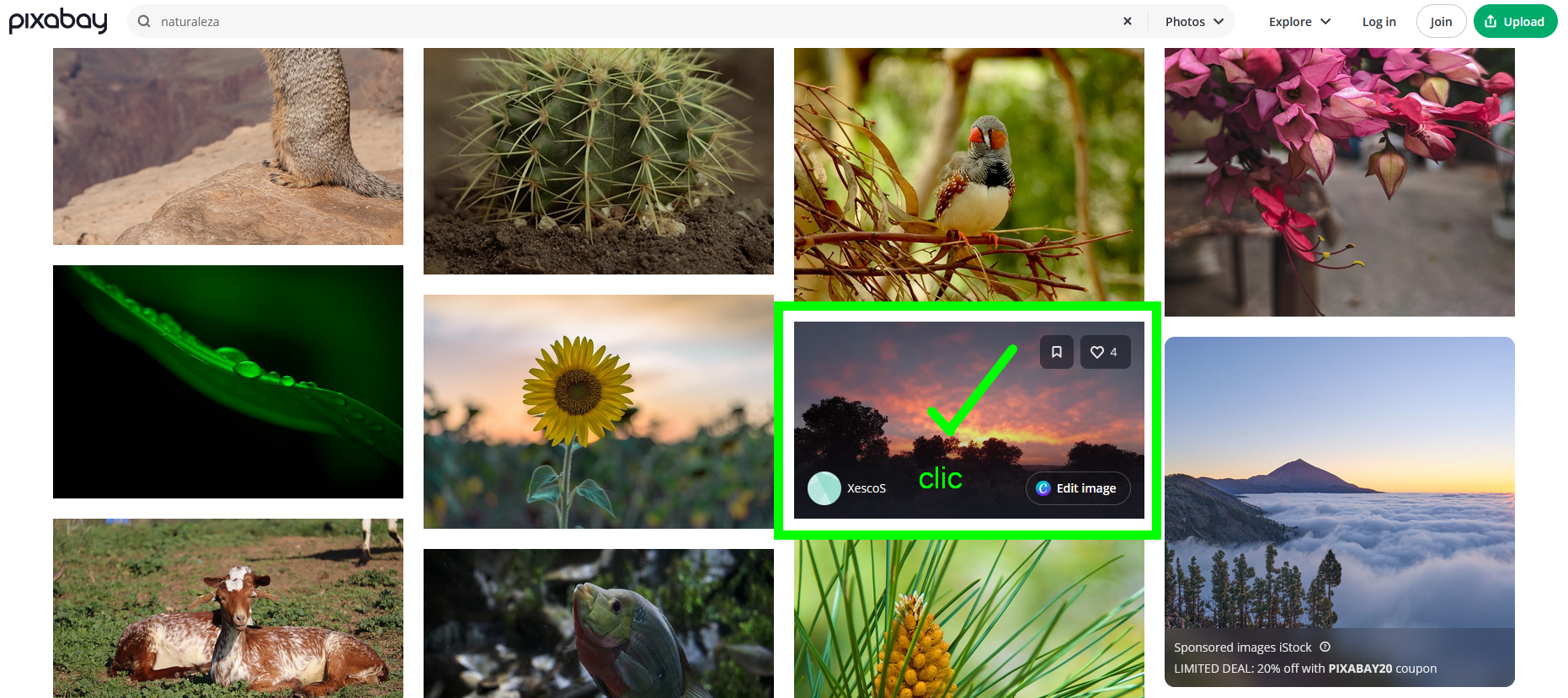 Seleccionar la imagen deseada