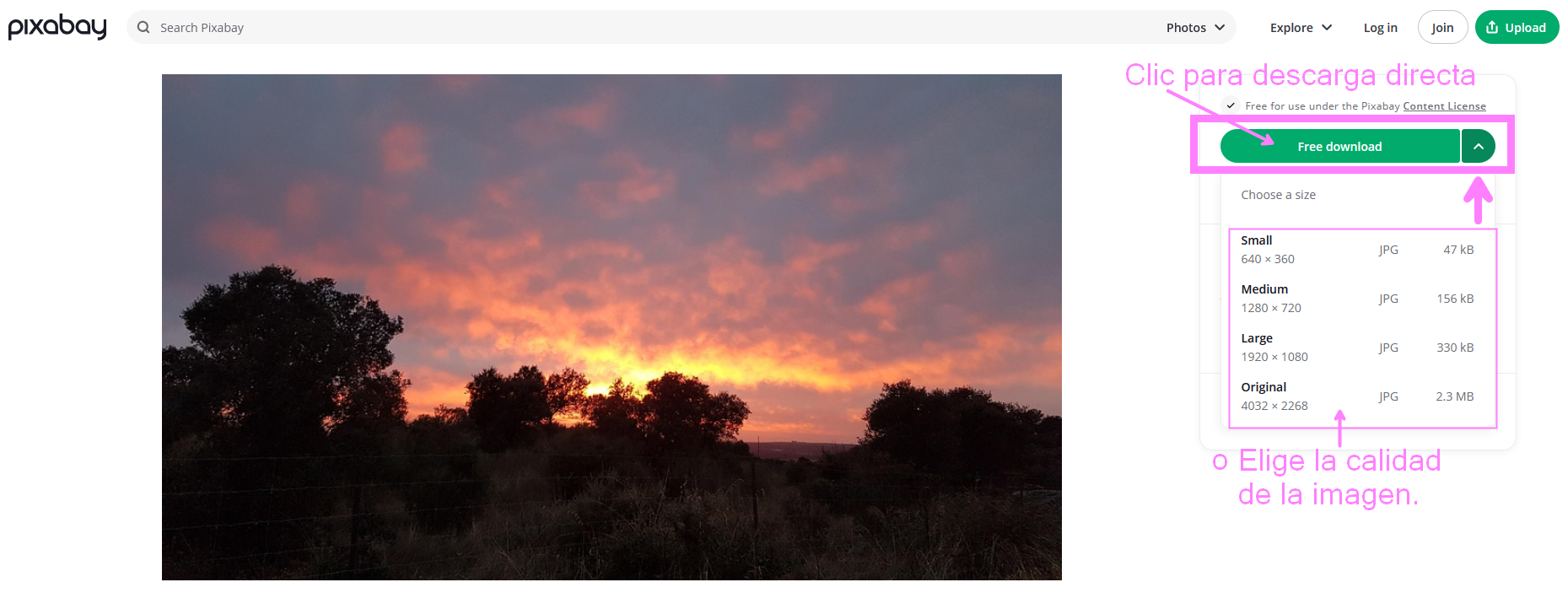 Elegir calidad y descargar