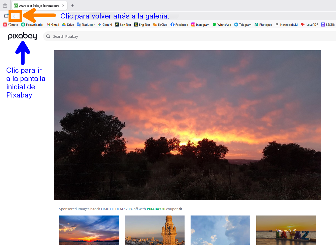 Volver atrás o a la página principal